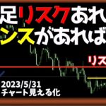 リスクは全てこいつが吸収してくれる、恐れずチャレンジしよう！【日刊チャート見える化2023/5/31(ドル円、ポンド円、ユーロドル、ポンドドル、ゴールド等)【FX見える化labo】