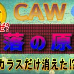【CAW】大暴落！その原因は？そしてカラスだけが消えた。【仮想通貨】A Hunters Dream