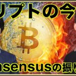 仮想通貨の今をConsensusで振り返る。 Steve Leeさんインタビューシリーズ