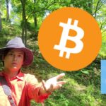 ビットコイン、FOMC通過でこうなる？ 仮想通貨Suiが上場。