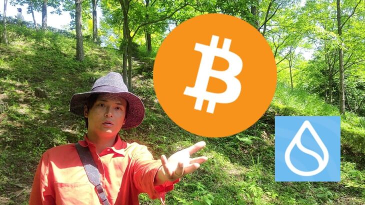 ビットコイン、FOMC通過でこうなる？ 仮想通貨Suiが上場。