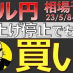 【ドル円最新予想】FRB利上げ停止！それでもNyaoがドル円を買う理由とは？絶好の買い場を簡単解説！来週の為替相場予想と投資戦略！CPI・PPI・ミシガン・金融不安にも注目！(23/5/8週)【FX】
