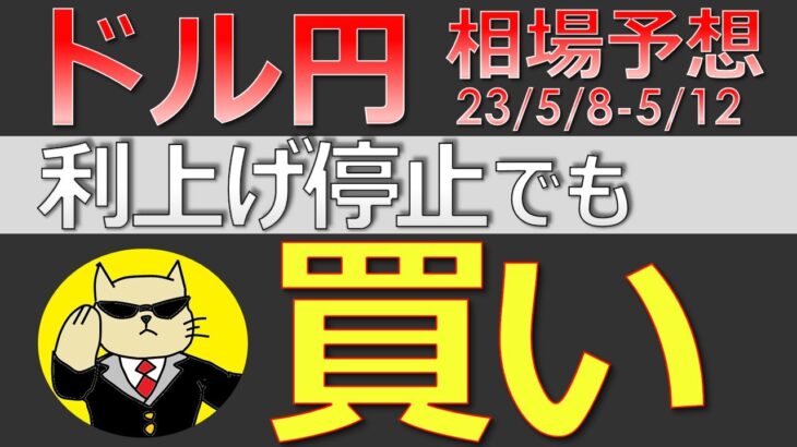 【ドル円最新予想】FRB利上げ停止！それでもNyaoがドル円を買う理由とは？絶好の買い場を簡単解説！来週の為替相場予想と投資戦略！CPI・PPI・ミシガン・金融不安にも注目！(23/5/8週)【FX】