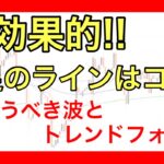 【FX】効果的な日足のラインとは？狙うべき波とトレンドフォローについて