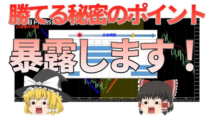【秘密公開】FXで勝てるようになる秘密のエントリーポイントを暴露します！