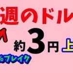 【FX値動き】週の前半5/22～24　具体的数値を使いわかりやすくトレードシナリオ解説