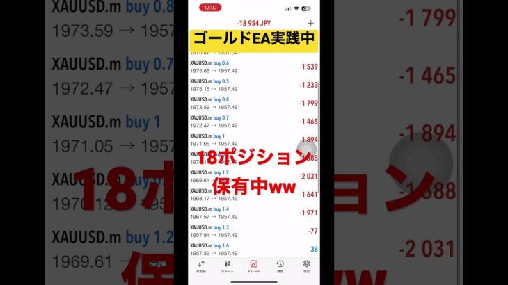 【FX自動売買】ゴールドEA再開したらとんでもない事にww #fx