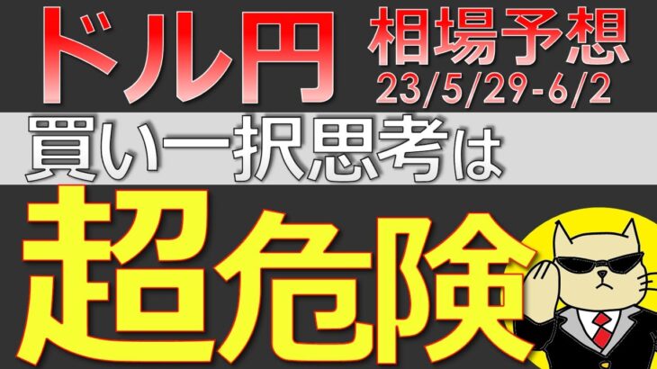 【ドル円最新予想】「ドル円は絶対買い！」←この思考、超危険です。理由を簡単解説！来週の為替相場予想と投資戦略！雇用統計・ISM・債務上限問題・ベージュブックに注目！(23/5/29週)【FX】
