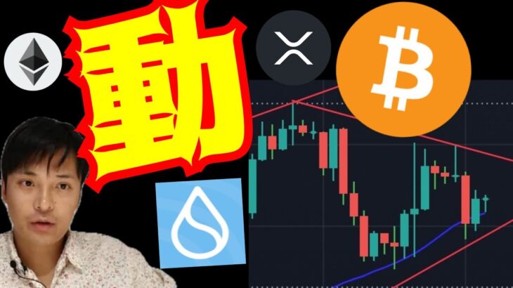 大きく動きそう！Suiが上場間近。 BTC ETH XRP PEPE 相場分析 ビットコイン イーサリアム リップル