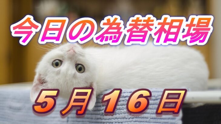 【TAKA FX】ドル、円、ユーロ、ポンド、豪ドルの為替相場の前日の動きをチャートから解説。5月16日