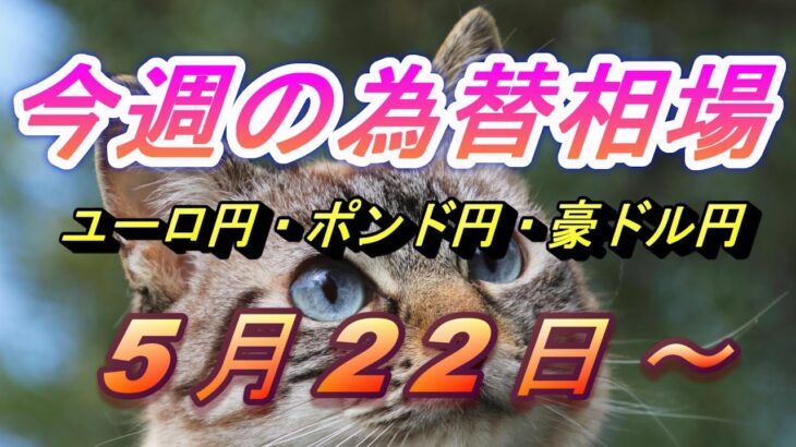 【TAKA FX】ユーロ円、ポンド円、豪ドル円の今週の為替相場の動きと来週の展望をチャートから解説。5月22日～