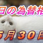 【TAKA FX】ドル、円、ユーロ、ポンド、豪ドルの為替相場の前日の動きをチャートから解説。5月30日