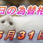 【TAKA FX】ドル、円、ユーロ、ポンド、豪ドルの為替相場の前日の動きをチャートから解説。5月31日