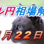 【TAKA FX】ドル円為替相場の今週の動きと来週の展望をチャートから解説。日経平均、NYダウ、金チャートも。5月22日～