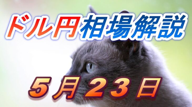 【TAKA FX】ドル円為替相場の前日の動きをチャートから解説。日経平均、NYダウ、金チャートも。5月23日