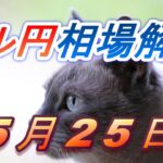 【TAKA FX】ドル円為替相場の前日の動きをチャートから解説。日経平均、NYダウ、金チャートも。5月25日