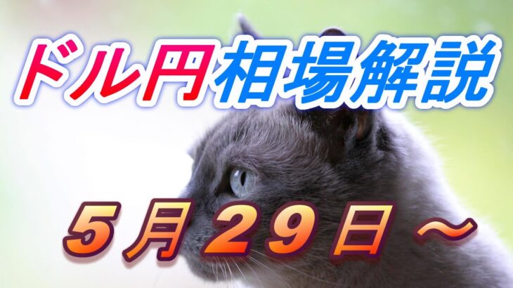 【TAKA FX】ドル円為替相場の今週の動きと来週の展望をチャートから解説。日経平均、NYダウ、金チャートも。5月27日～