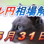 【TAKA FX】ドル円為替相場の前日の動きをチャートから解説。日経平均、NYダウ、金チャートも。5月31日