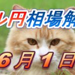 【TAKA FX】ドル円為替相場の前日の動きをチャートから解説。日経平均、NYダウ、金チャートも。6月1日