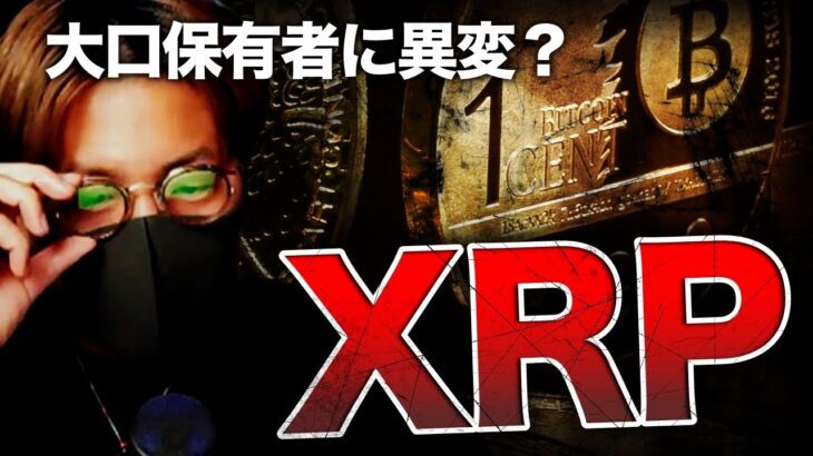 XRP大口保有者に異変？ ビットコイン急反発の要因。
