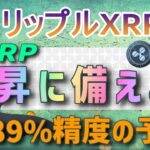 【リップル・XRP】上昇に備えろ！精度89％の予測⁉【仮想通貨】最新ニュース