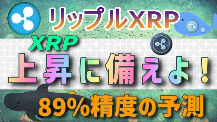 【リップル・XRP】上昇に備えろ！精度89％の予測⁉【仮想通貨】最新ニュース