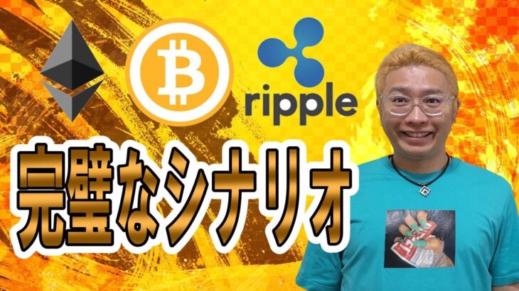 【ビットコイン ＆ アルトコイン 分析】完璧なシナリオとポジション構築！あとは見守るのみ！