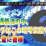 ［20230610］サンティメント：市場低迷の中、クジラはこの暗号資産を大量に蓄積【仮想通貨・暗号資産】