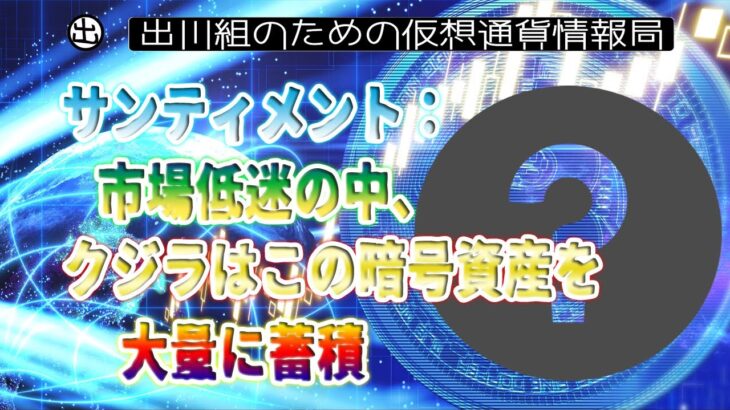 ［20230610］サンティメント：市場低迷の中、クジラはこの暗号資産を大量に蓄積【仮想通貨・暗号資産】