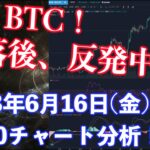【社会人向け】【投資・暗号資産】2023年6月16日(金)19:00チャート分析！BTC下落後、反発！