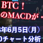【社会人向け】【投資・暗号資産】2023年6月5日(月)18:00チャート分析！BTC週足のMACDが・・