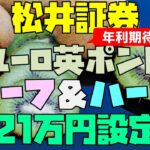 年利期待値30%超 松井証券 FX自動売買 ユーロ英ポンド ハーフ＆ハーフ 約20万円設定例