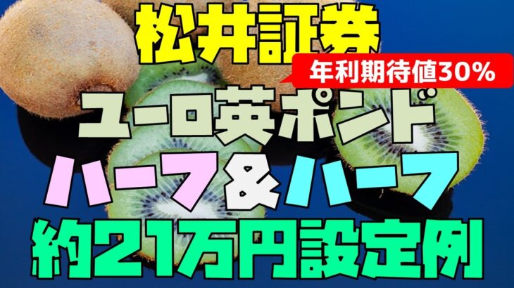 年利期待値30%超 松井証券 FX自動売買 ユーロ英ポンド ハーフ＆ハーフ 約20万円設定例