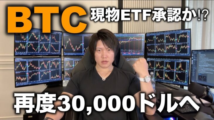 ビットコイン爆上げ！再度30,000ドルへ。今後の値動きを解説。ビットコイン現物ETF承認間近か？
