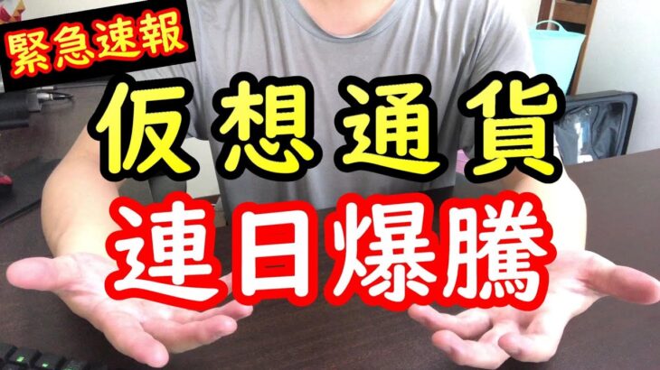 【緊急報告】全財産337万円を仮想通貨に全部ぶち込んだ結果、ついにこの瞬間が訪れた【2023年6月25日】