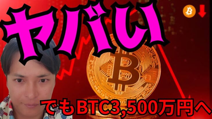 【仮想通貨ヤバい】暴落しそう！でもビットコインは3,500万円へ