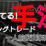 これで勝てる！！勝率76%FX投資手法！時間のない方の4Ｈ足ハーフスイング手法