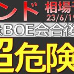 【ポンド最新予想】知らないと大損確定・・！ポンドに潜む罠とは？どう攻めるのが安全なのか？簡単解説！来週のポンド・ユーロの最新為替相場予想と投資戦略！BOE・PMIに注目！ (23/6/19週)【FX】