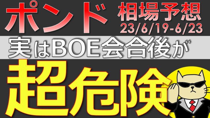 【ポンド最新予想】知らないと大損確定・・！ポンドに潜む罠とは？どう攻めるのが安全なのか？簡単解説！来週のポンド・ユーロの最新為替相場予想と投資戦略！BOE・PMIに注目！ (23/6/19週)【FX】