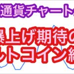 【爆上げが期待できるアルトコインはどれ？！】①BTCの相場分析　②アルトコイン相場分析＜APE・BCH・CFX・STX・SUI・BGB・EFI・LSK＞