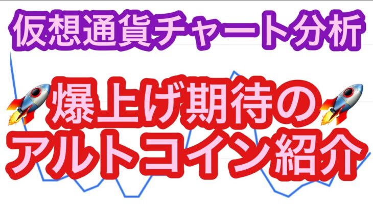 【爆上げが期待できるアルトコインはどれ？！】①BTCの相場分析　②アルトコイン相場分析＜APE・BCH・CFX・STX・SUI・BGB・EFI・LSK＞