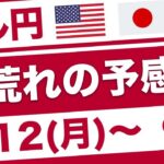 【FX ドル円】CPI、FOMCの予測と利上げ以外の上昇要因とは！？