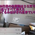 FX無職134日目。私の住民税は20万円です。田舎からの最後の仕送りが第一期支払いだけですべて消える事に対し、飛行機内で怒りの慟哭をあげる36歳男性の悲しい映像