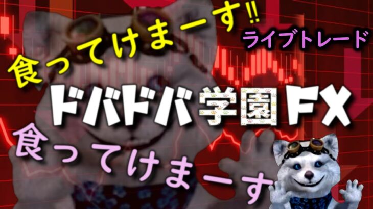 【FXライブ配信】　一かスキャル！スキャルしかしません！チャート以外は何も信じません！　令和5年6月12日　月曜日　働いたから負け、ポイントも無くなったので人生終了ｗ