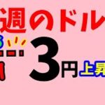 【FX値動き】週の前半6/19～21　具体的数値を使いわかりやすくトレードシナリオ解説