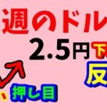 【FX値動き】週の前半6/5～7　具体的数値を使いわかりやすくトレードシナリオ解説