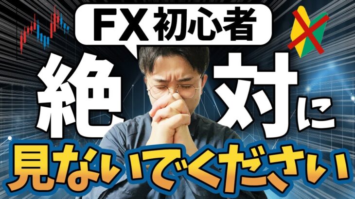 FX初心者は絶対見るな！ハイレバトレードの正しい遊び方【少額OK】