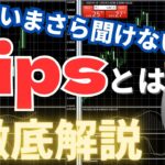 【FX入門編】ピプス（pips）とは？