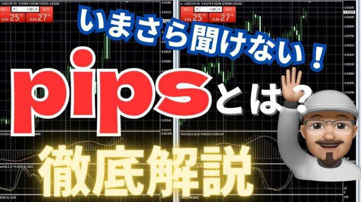 【FX入門編】ピプス（pips）とは？