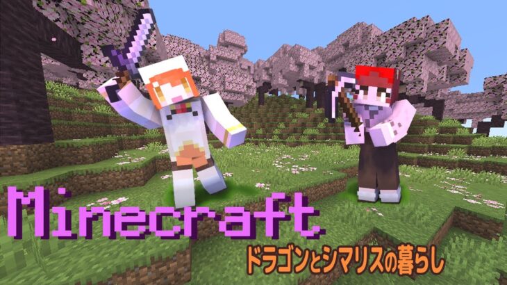 【Minecraft】ブランチマイニング場を作ろう！forドラゴンとリスの新生活【異世界ちゃんねる】